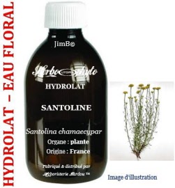 Hydrolat - Santoline (santolina chamaecyparissus) plante BIO - flacon 250 ml - Herbo-aroma - Herboristerie Bardou™ 