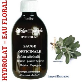 Hydrolat - Sauge officinale (salvia officinalis) plante fleurie BIO - flacon 125 ml - Herbo-aroma - Herboristerie Bardou™ 