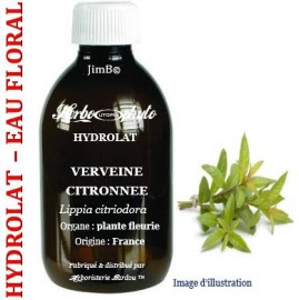 Hydrolat - Verveine citronnée (lippia citriodora) plante fleurie BIO - flacon 1 litre - Herbo-aroma - Herboristerie Bardou™ 