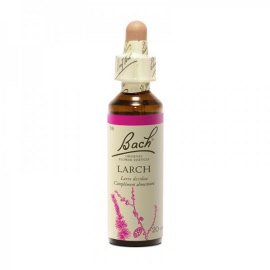 Fleur de bach - Larch (larix decidua)(mélèze) - flacon 20 ml - Bach original® - Herboristerie Bardou™
