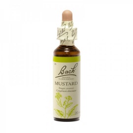 Fleur de bach - Mustard (sinapis arvensis)(moutarde) - flacon 20 ml - Bach original® - Herboristerie Bardou™