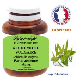 Plante en gélule - Alchemille vulgaire (alchemilla vulgaris) partie aérienne (285 mg) - pot 60 gélules - Herbo-phyto - Herboristerie Bardou™