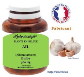 Plante en gélule - Ail (allium sativum) bulbe poudre (380 mg) - pot 60 gélules - Herbo-phyto - Herboristerie Bardou™ 