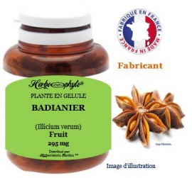 Plante en gélule - Badianier (illicium verum) fruit (295 mg) - pot 60 gélules - Herbo-phyto - Herboristerie Bardou™ 