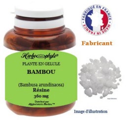 Plante en gélule - Bambou (bambusa arundinacea) résine (360 mg) - pot 120 gélules - Herbo-phyto - Herboristerie Bardou™ 