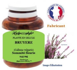 Plante en gélule - Bruyère (calluna vulgaris) sommité fleurie (245 mg) - pot 120 gélules - Herbo-phyto - Herboristerie Bardou™ 