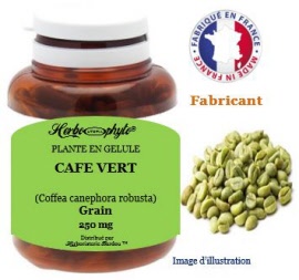 Plante en gélule - Cafe vert (coffea canephora robusta) 250 mg - pot 60 gélules - Herbo-phyto - Herboristerie Bardou™ 