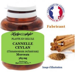 Plante en gélule -Cannelle ceylan (cinnamomum zeylanicum) morceaux (365 mg) - pot 60 gélules - Herbo-phyto - Herboristerie Bardou™