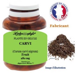 Plante en gélule - Carvi noir (carum carvi nigrum) fruit (280 mg) - pot 120 gélules - Herbo-phyto - Herboristerie Bardou™ 