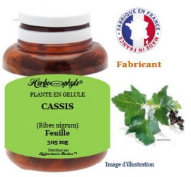 Plante en gélule - Cassis (ribes nigrum) feuille (305 mg) - pot 120 gélules - Herbo-phyto - Herboristerie Bardou™ 