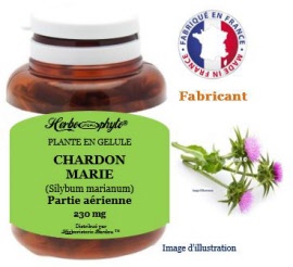 Plante en gélule - Chardon marie (silybum marianum) partie aérienne (235 mg) - pot 60 gélules - Herbo-phyto - Herboristerie Bardou™