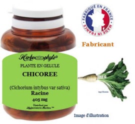 Plante en gélule - Chicorée (cichorium intybus var sativa) racine (405 mg) - pot 60 gélules - Herbo-phyto - Herboristerie Bardou™ 