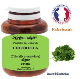 Plante en gélule - Chlorella (chlorella pyrenoidosa) algue (500 mg) - pot 90 comprimés - Herbo-phyto - Herboristerie Bardou™ 