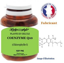 Plante en gélule - Coenzyme Q10 (50 mg) - pot 60 gélules - Herbo-phyto - Herboristerie Bardou™ 