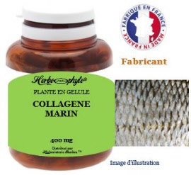 Plante en gélule - Collagène marin (400 mg) - pot 90 comprimés - Herbo-phyto - Herboristerie Bardou™ 