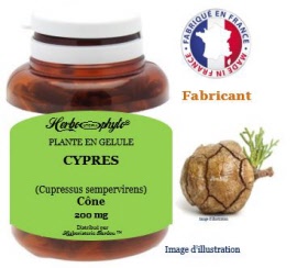 Plante en gélule - Cyprès (cupressus sempervirens) cône (220 mg) - pot 60 gélules - Herbo-phyto - Herboristerie Bardou™