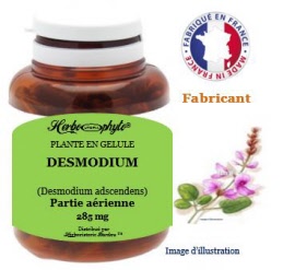 Plante en gélule - Desmodium (desmodium adscendens) partie aérienne (285 mg) - pot 60 glélules - Herbo-phyto - Herboristerie Bardou™