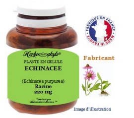 Plante en gélule - Echinacée (echinacea purpurea) racine (220 mg) - pot 60 gélules - Herbo-phyto® - Herboristerie Bardou™