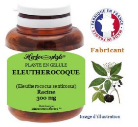 Plante en gélule - Eleuthérocoque (eleutherococus senticosus) racine (300 mg) - pot 60 gélules - Herbo-phyto® - Herboristerie Bardou™