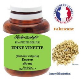 Plante en gélule - Epine vinette (berberis vulgaris) écorce (280 mg) - pot 120 gélules - Herbo-phyto® - Herboristerie Bardou™