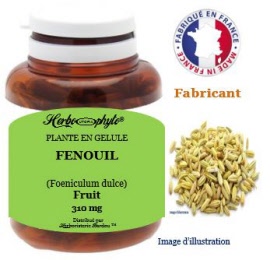 Plante en gélule - Fenouil (foeniculum dulce) fruit (310 mg) - pot 60 gélules - Herbo-phyto® - Herboristerie Bardou™
