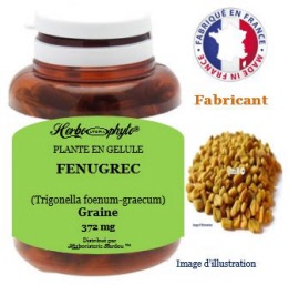 Plante en gélule - Fenugrec (trigonella foenum-graecum) graine (372 mg ) - pot 120 gélules - Herbo-phyto® - Herboristerie Bardou™