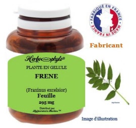 Plante en gélule - Frene (fraxinus excelsior) feuille (295 mg) - pot 120 gélules - Herbo-phyto® - Herboristerie Bardou™