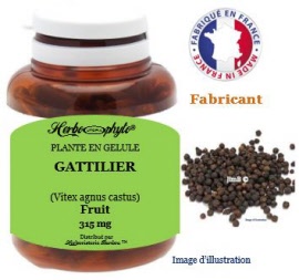 Plante en gélule - Gattilier (vitex agnus castus) fruit (315 mg) - pot 120 gélules - Herbo-phyto® - Herboristerie Bardou™