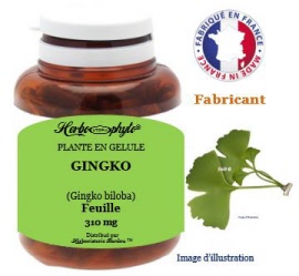 Plante en gélule - Gingko (gingko biloba) feuille (310 mg) - pot 120 gélules - Herbo-phyto® - Herboristerie Bardou™