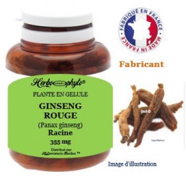 Plante en gélule - Ginseng rouge (panax ginseng) racine (355 mg) - pot 60 gélules - Herbo-phyto® - Herboristerie Bardou™