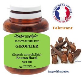 Plante en gélule - Giroflier (eugenia caryophyllata) bouton floral (300 mg) - pot 60 gélules - Herbo-phyto® - Herboristerie Bardou™