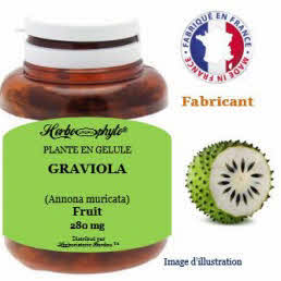 Plante en gélule - Graviola (annona muricata) fruit (280 mg)(corossol) - pot 60 gélules - Herbo-phyto® - Herboristerie Bardou™