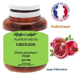 Plante en gélule - Grenade (punica granatum) fruit (430 mg) - pot 60 gélules - Herbo-phyto® - Herboristerie Bardou™