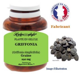 Plante en gélule - Griffonia (griffonia simplicifolia) graine (290 mg) - pot 120 gélules - Herbo-phyto® - Herboristerie Bardou™