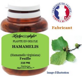Plante en gélule - Hamamélis (hamamelis virginiana) feuille (335 mg) - pot 60 gélules - Herbo-phyto® - Herboristerie Bardou™