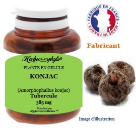 Plante en gélule - Konjac (amorphophallus konjac) tubercule (390 mg) - pot 120 gélules - Herbo-phyto® - Herboristerie Bardou™