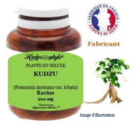 Plante en gélule - Kudzu (pueararia montana var lobata) racine (200 mg) - pot 90 gélules - Herbo-phyto® - Herboristerie Bardou™