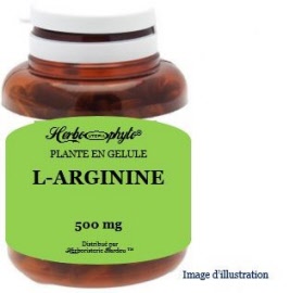 Plante en gélule - L-Arginine 500 mg - pot 60 gélules - Herbo-phyto® - Herboristerie Bardou™