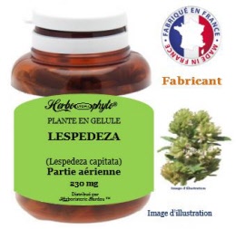 Plante en gélule - Lespedeza (lespedeza capitata) partie aérienne (230 mg) - pot 60 gélules - Herbo-phyto® - Herboristerie Bardou™