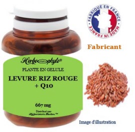 Plante en gélule - Levure de riz rouge (333.5 mg) - pot 60 gélules - Herbo-phyto® - Herboristerie Bardou™