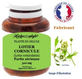 Plante en gélule - Lotier cornicule (lotus corniculatus) partie aerienne (285 mg) - pot 120 gélules - Herbo-phyto® - Herboristerie Bardou™