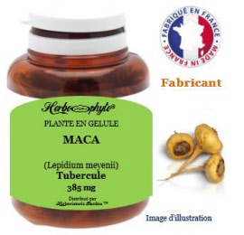 Plante en gélule - Maca (lepidium meyenii) tubercule (385 mg) - pot 60 gélules - Herbo-phyto® - Herboristerie Bardou™