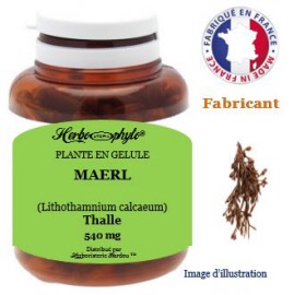 Plante en gélule - Maerl (lithothamnium calcareum) thalle (540 mg) - pot 60 gélules - Herbo-phyto® - Herboristerie Bardou™