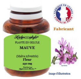 Plante en gélule - Mauve (malva sylvestris) fleur (250 mg) - pot 120 gls - Herbo-phyto® - Herboristerie Bardou™
