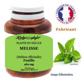 Plante en gélule - Mélisse (melissa officinalis) partie aérienne (260 mg) - pot 60 gélules - Herbo-phyto® - Herboristerie Bardou™