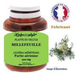 Plante en gélule - Millefeuille (achillea millefolium) partie aerienne (220 mg) - pot 120 gélules - Herbo-phyto® - Herboristerie Bardou™