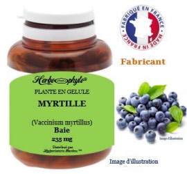 Plante en gélule - Myrtille (vaccinium myrtillus) baie (235 mg) - pot 60 gélules - Herbo-phyto® - Herboristerie Bardou™