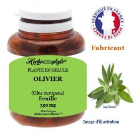 Plante en gélule - Olivier (olea europaea) feuille (280 mg) - pot 120 gélules - Herbo-phyto® - Herboristerie Bardou™ 