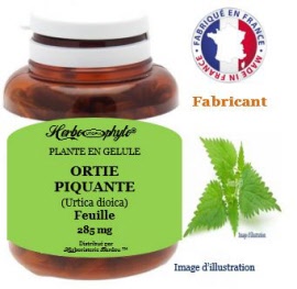 Plante en gélule - Ortie piquante (urtica dioica) feuille (285 mg) - pot 120 gélules - Herbo-phyto® - Herboristerie Bardou™