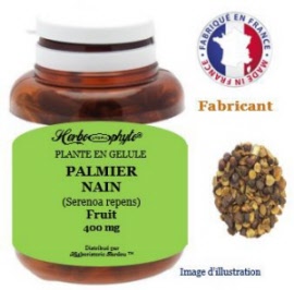 Plante en gélule - Palmier nain (serenoa repens) baie (107 mg) (saw palmetto) - pot 90 gélules - Herbo-phyto® - Herboristerie Bardou™